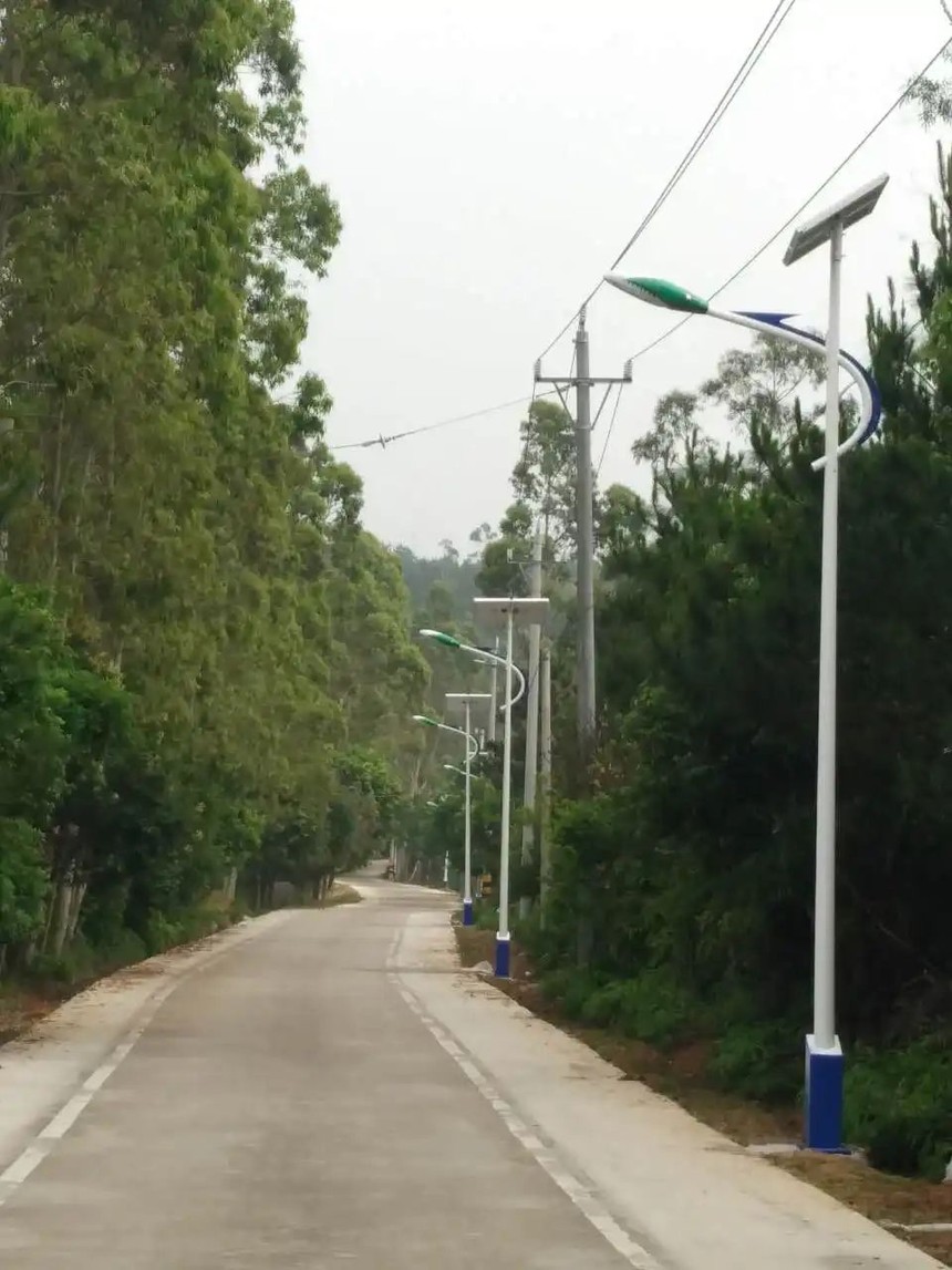 1658738785667348.jpg 1.jpg